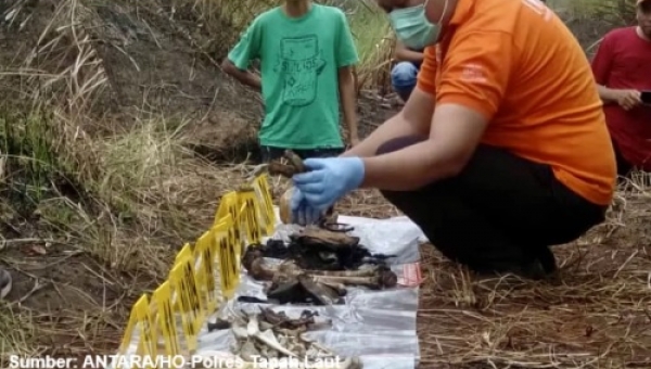 identitas mayat di perkebunan sawit